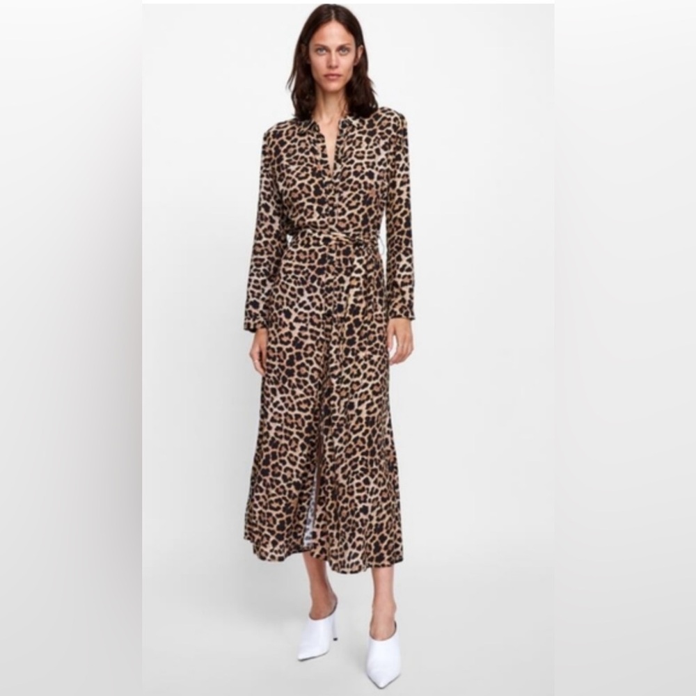 Zara Leopard-Print Midi Shirt Dress in Brown and Black
